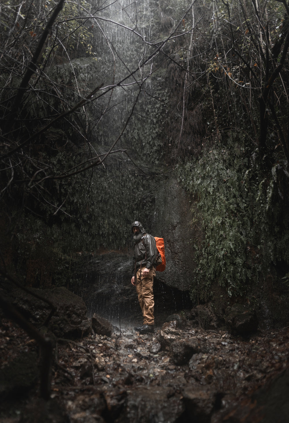 Alex Wander exploring the forest with the Grayl and his EDC kit.