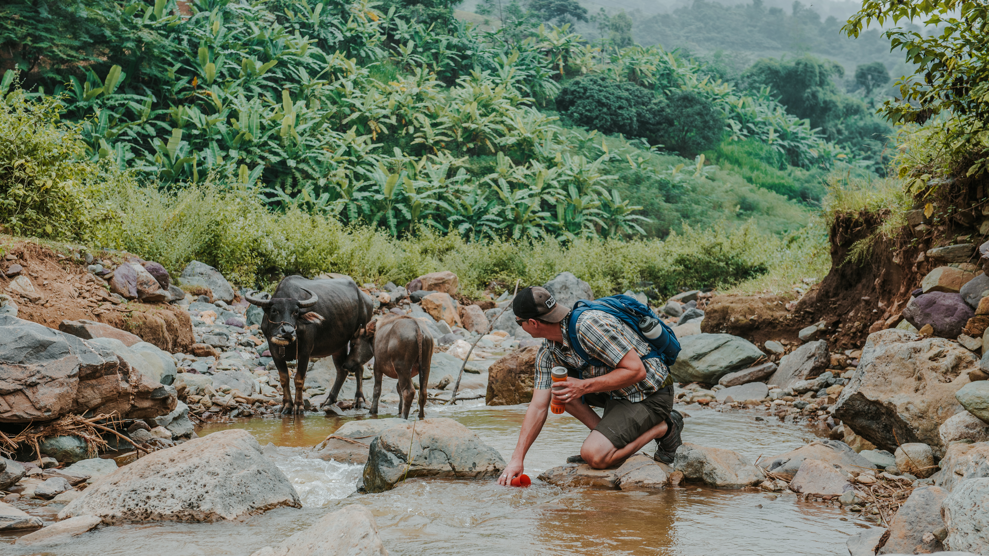 Travis Merrigan purifying water with his Grayl within close proximity of water buffalos in Vietnam.